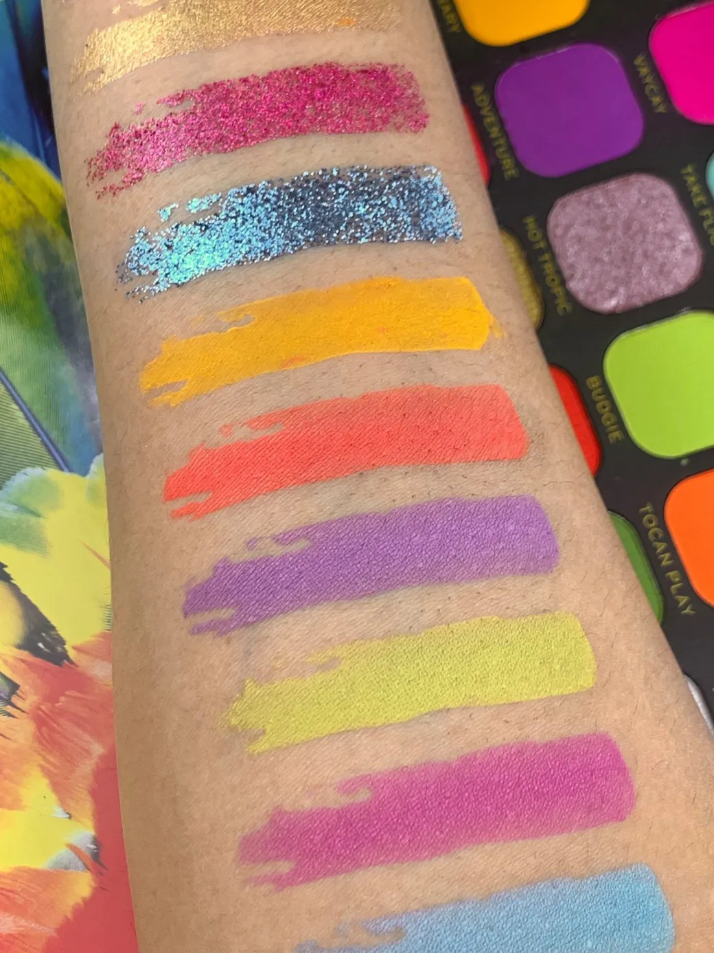 Makeup Revolution Forever Flawless Bird of Paradise Eyeshadow Palette