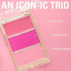 Revolution Blush Icon Palette